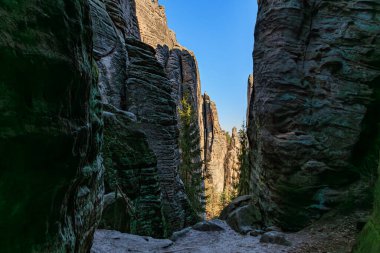 Görkemli kumtaşı oluşumları ve çam ağaçlı dar kanyon.