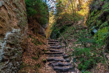 Kırsal kayalar, yemyeşil ve sonbahar yapraklarıyla dolu bir orman patikası boyunca yürür..