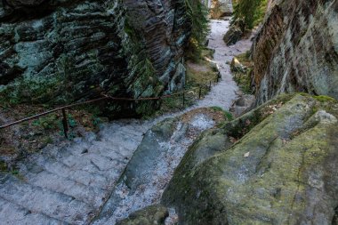 Dar kayalık geçitteki yeşil yapraklı taş merdiven..