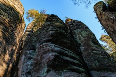 Görkemli kayalık kayalıklar, ormanın içindeki açık mavi gökyüzüne doğru uzanıyor..