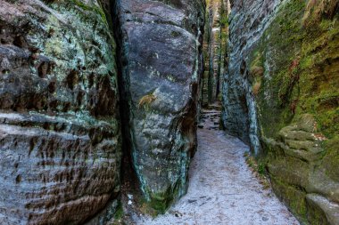 Yosunlu uçurumlar ve patikalarla dolu verimli ormanda dar kayalık bir geçit..