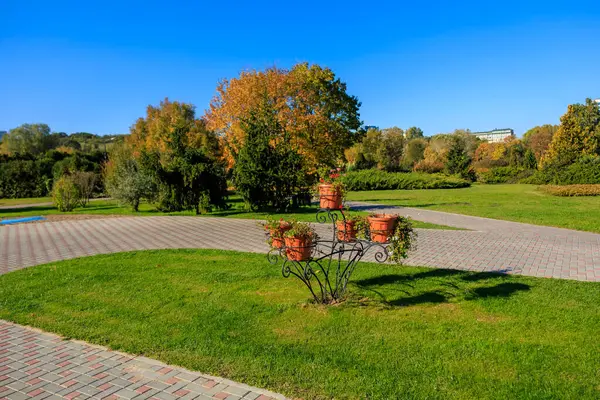 Üzerinde dört saksı bitkisi olan küçük bir ağaç bir parktadır. Park tuğla bir geçitle çevrili ve geniş bir açık arazisi var. Gökyüzü açık ve mavi, ve ağaçlar sonbahar renginde.