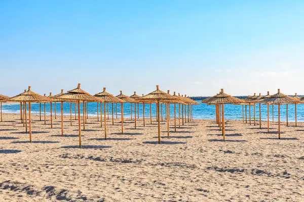 Kumsalda saman şemsiyeli güneşli sahil.