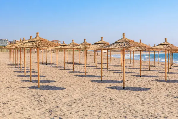 Okyanus kenarında güneşli bir günde saman şemsiyeli boş bir sahil..