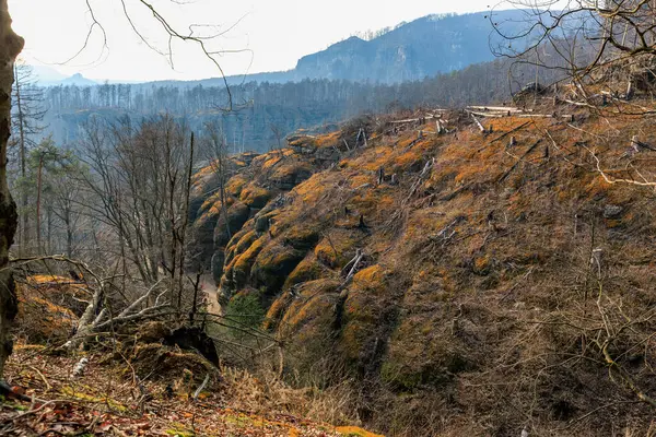 Dağlık arazide portakal yosunları olan ormansız yamaçlar..