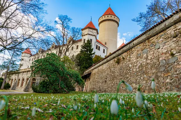 İlkbaharda karlı ihtişamlı ortaçağ kalesi.