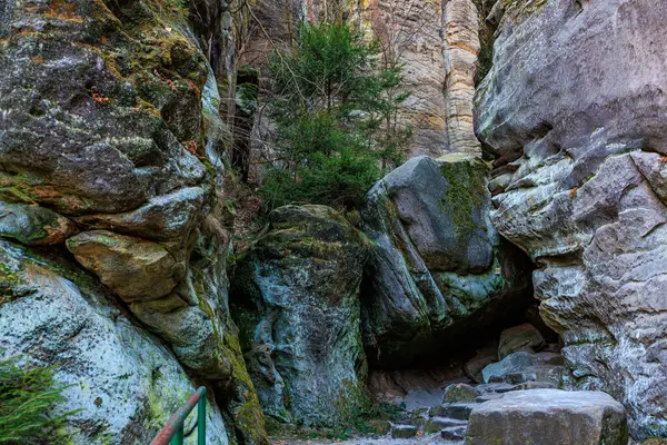 Yosun kaplı kaya ve yeşillik kaplı Rocky Kanyonu.