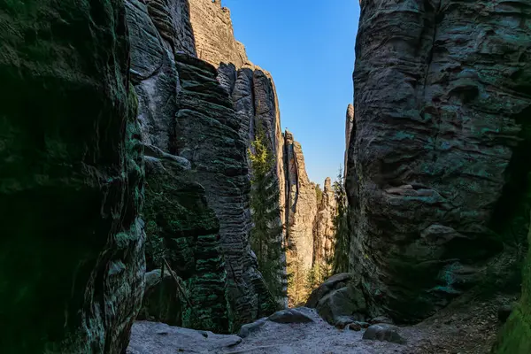 Görkemli kumtaşı oluşumları ve çam ağaçlı dar kanyon.