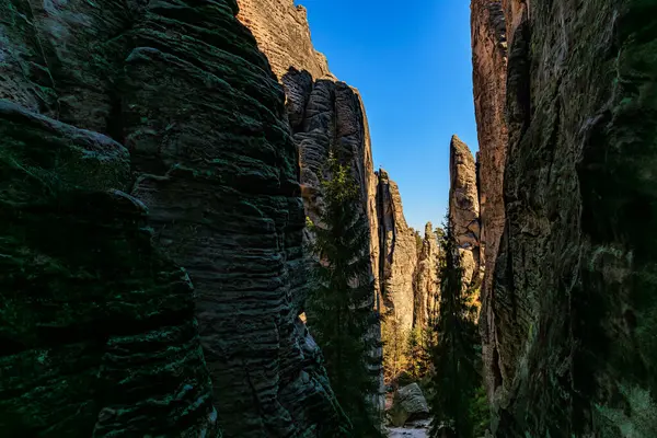 Ulusal park kanyonundaki görkemli kumtaşı kayalıkları ve çam ağaçları.