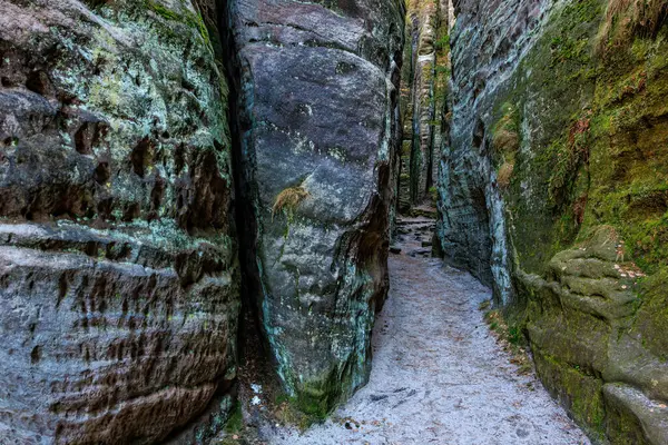 Yosunlu uçurumlar ve patikalarla dolu verimli ormanda dar kayalık bir geçit..
