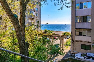 Bereketli yeşillik ve mavi okyanusla kentsel mimari yoluyla manzaralı bir sahil manzarası. 4 Mayıs 2025 Romanya.