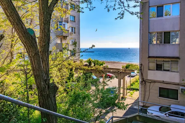 Bereketli yeşillik ve mavi okyanusla kentsel mimari yoluyla manzaralı bir sahil manzarası. 4 Mayıs 2025 Romanya.