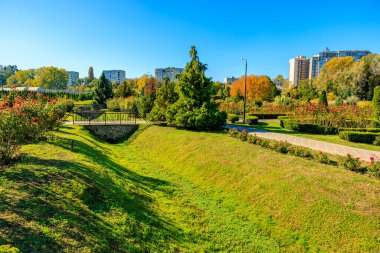 Çimenli tepeli ve banklı bir park. Çimler yeşil, gökyüzü mavi.