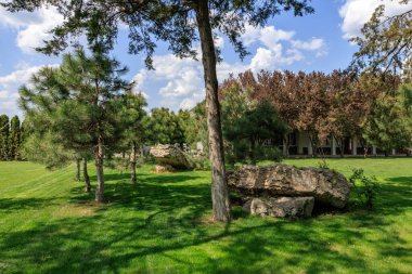 Mavi gökyüzünün altında ağaçlar ve büyük kayalar olan sakin bir park..
