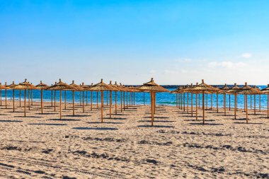 Saman şemsiyeli güneşli sahil önü ve okyanusa bakan açık mavi gökyüzü..