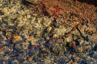 Renkli kaya yataklı ve güneş ışığı desenli berrak su.