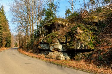 İlkbaharın başlarında kayalık uçurumlu manzaralı orman yolu.