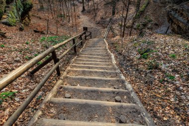 Sonbahar yaprakları arasında ormandaki kırsal ahşap merdiven..