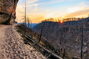 Kayalık orman patikasının üzerinde gün batımı kumlu patika ve çıplak ağaçlarla.
