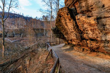 Ormandaki kumtaşı kayalıkları boyunca manzaralı sonbahar patikası.