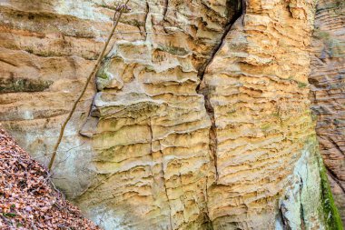 Doğal desenleri ve kaya çizgileriyle aşınmış kumtaşı uçurumu.