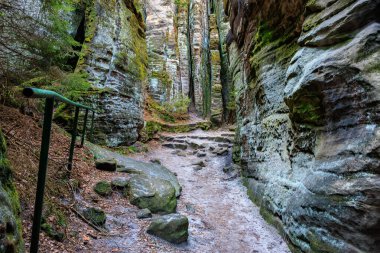 Orman kanyonunda yosun kaplı duvarları olan dar kayalık bir yol..