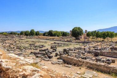 Bir sürü taş harabe ve ağaçla dolu geniş bir açık alan. Gökyüzü mavi ve güneş parlıyor. Yunanistan 'ın antik Filippi kentinin kalıntıları