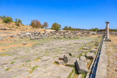 Bir sürü taş bina ve birkaç ağacın olduğu geniş bir açık alan. Gökyüzü açık ve mavi. Yunanistan 'ın antik Filippi kentinin kalıntıları