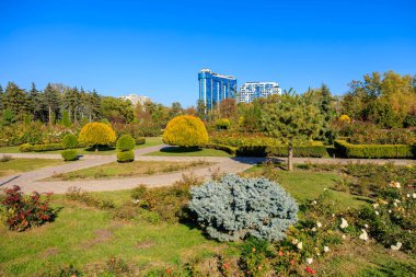 Bir sürü ağaç ve çalıyla dolu bir park. Gökyüzü mavi ve güneş parlıyor.