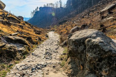 Güneşli dağlık arazide berrak mavi gökyüzü manzaralı kayalık bir patika..