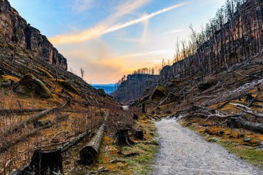 Gün batımında görkemli kayalık kanyondan geçen yol manzaralı vahşi doğada.