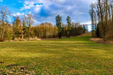 Sakin bir sonbahar manzarası, açık arazisi ve bulutlu gökyüzünün altında çıplak ağaçları var..