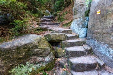 Yeşillik ve kaya oluşumlarıyla orman yolundan geçen taş adımlar..