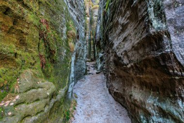 Ormandaki yosunlu kumtaşı geçidinde dar bir yol..