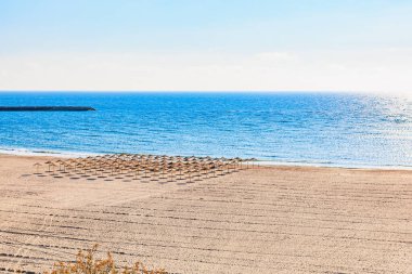 Şemsiyeli güneşli sahil ve kumlu sahilde sakin okyanus dalgaları..
