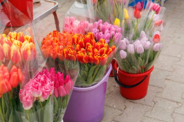 Bir demet çiçek plastik torbalar ve kovalarda sergilenir. Çiçekler pembe, turuncu ve mor olmak üzere farklı renklerdedir. Ayarlamalar kaldırımda yapılıyor.