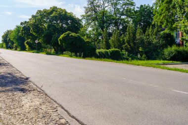 Her iki tarafında da bir sürü ağaç olan bir yol. Yol boş ve trafik yok.