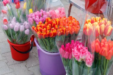 Bir demet çiçek plastik torbalar ve kovalarda sergilenir. Çiçekler pembe, turuncu ve mor olmak üzere farklı renklerdedir.