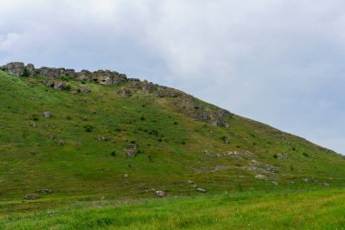 Hilly Vadisi. Seçici odaklı arkaplan ve metin için alanı kopyala.
