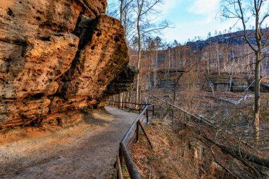 Sonbaharda kaya oluşumlu manzaralı orman yolu.