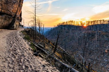 Kayalık patikalı ve seyrek ağaçlı çorak arazide gün batımı.