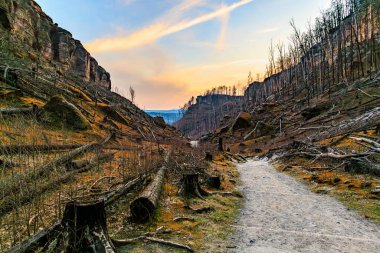 Kayalık yolu ve dramatik gökyüzü ile yanmış orman manzarasının üzerinde gün batımı.