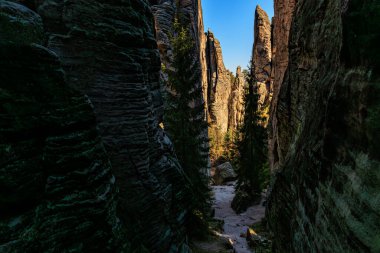 Güneş ışığındaki görkemli kaya oluşumları ve ormanın manzarası.