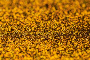Görüntü, altın parıltılı bir yüzeye yakındır. Altın rengi çok parlak ve parlak, ve parıltı sahneye bir hareket ve enerji hissi katıyor. Sahne heyecan ve neşe doludur.