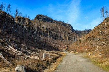 Berrak mavi gökyüzü ile görkemli kayalık kanyon manzarası.