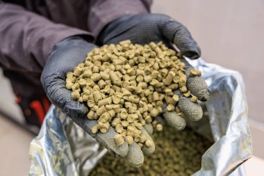 Elleri zıpzıp toplarını demlemek için tutuyor.