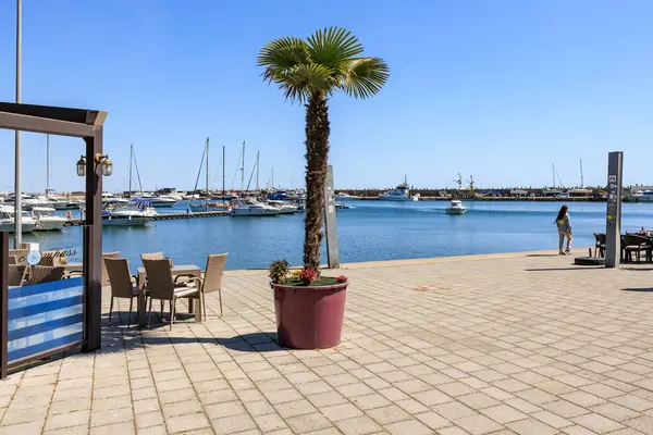 Güneşli bir günde tekneler ve palmiye ağaçları manzaralı bir marina manzarası. 3 Mayıs 2025 Romanya.
