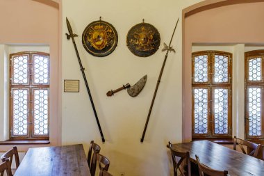 Tarihsel Avrupa silahları: kırsal alanda kalkanlar, mızraklar ve halberd. 18 Mart 2025, Madalyon, Çek Cumhuriyeti.