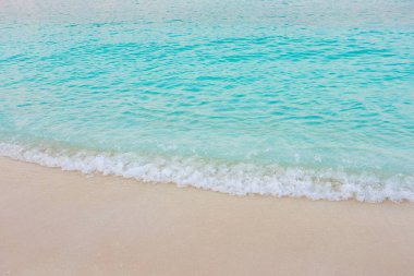 Okyanus sakin ve mavi, kıyıda hafif bir dalga kırılıyor. Su berrak ve davetkar, ve plaj huzurlu ve dinlendirici bir yer.