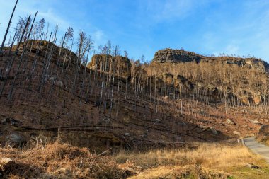 Çıplak ağaçlarla ve açık mavi gökyüzünün altında kayalık kayalıklarla sonbahar manzarası.